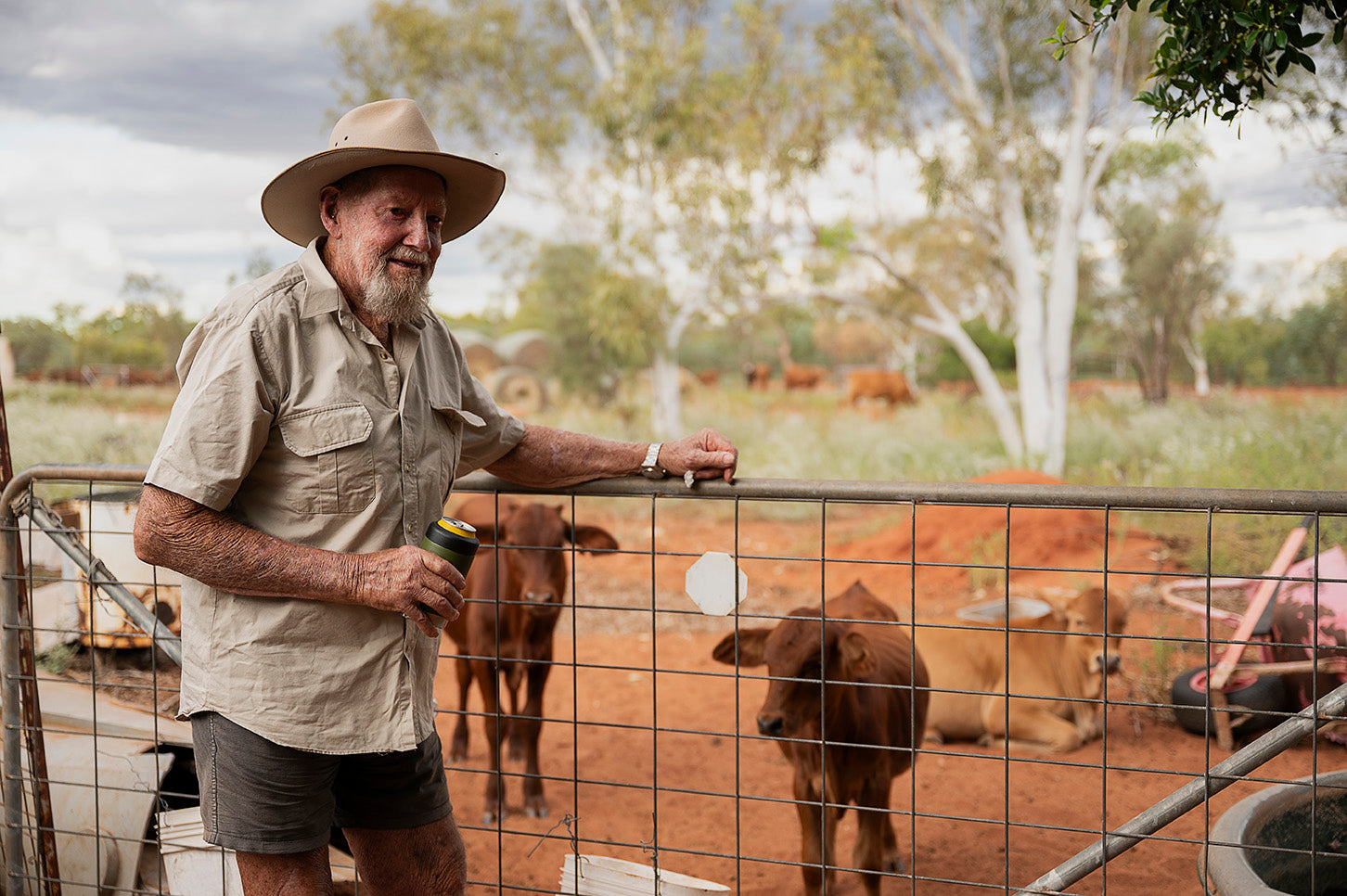 A grazier in a wide-brim hat leaning on a cattle yard rail with brahman cattle behind him, a Fridgy can cooler in hand.