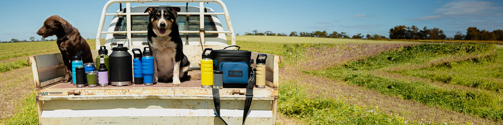 Fridgy insulated stainless steel bottles, tumblers and a soft cooler on the tray of a farm ute with two working dogs