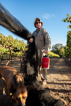 Cliff at Redgum Winery
