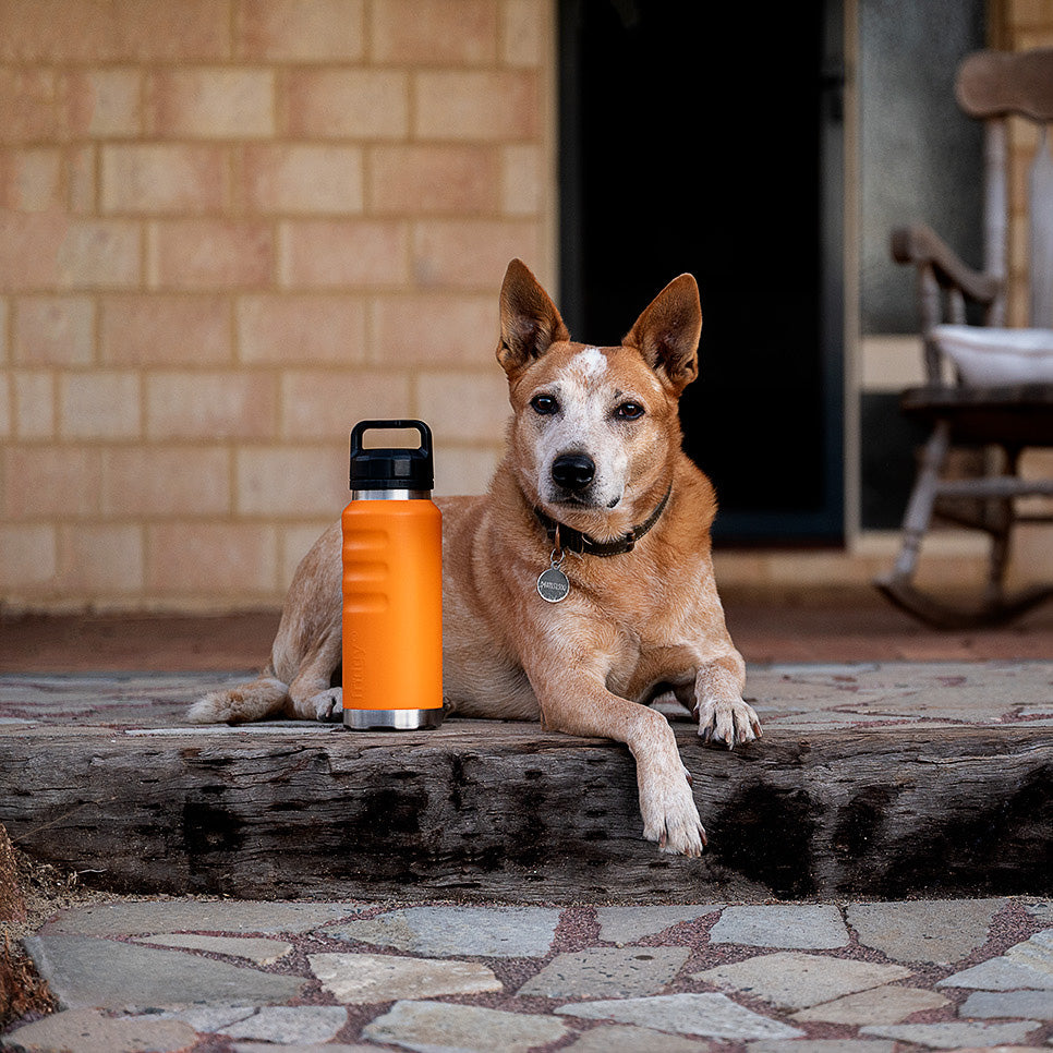 Fridgy 1080ml Grip Range in Blaze Orange