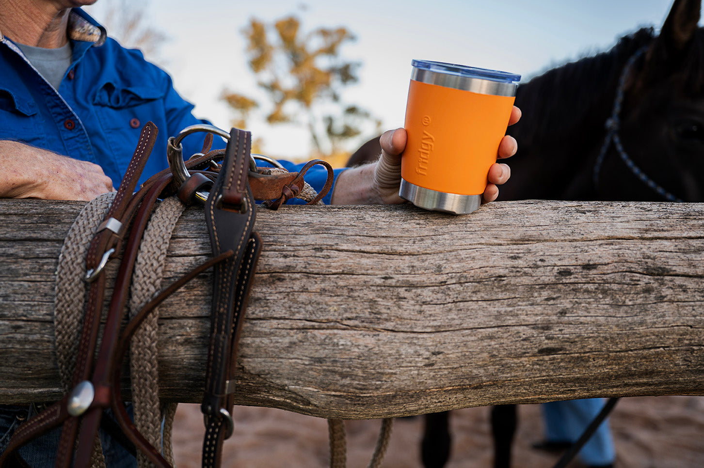 Person holding an orange tumbler cup with a horse and wooden fence in the background