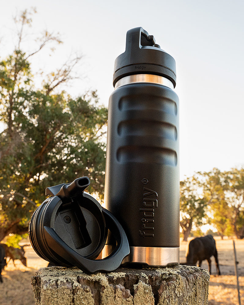 water bottle on a fence post with cows in the background