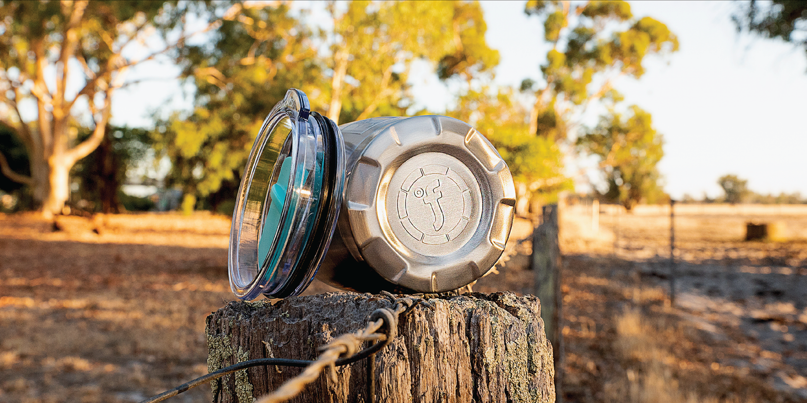 Fridgy lids on a tree stump, outdoor