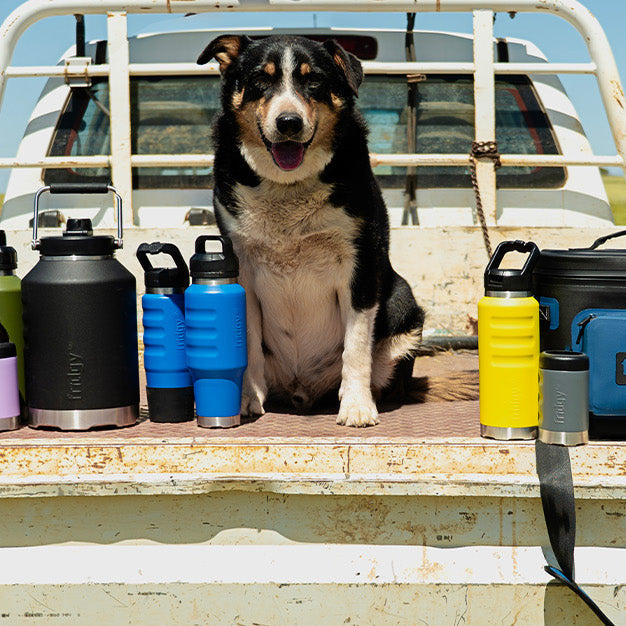 The full Fridgy range of insulated stainless steel bottles and a soft cooler lined up on a farm ute tray