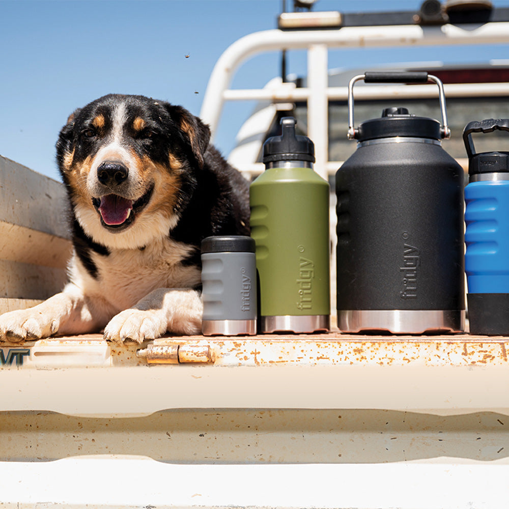 A working dog sitting beside Fridgy insulated bottles and a soft cooler on the tray of a farm ute